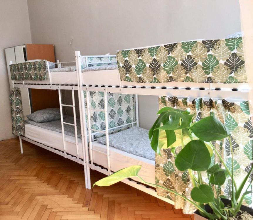 Green House Krakow Luaran gambar